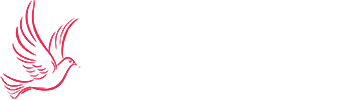 Balcony Safety Nets in Hyderabad